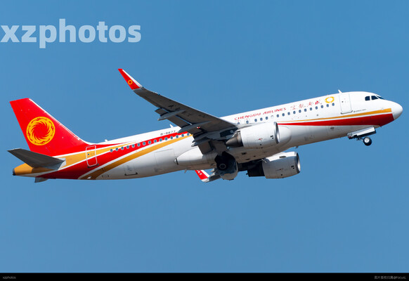 B-8877