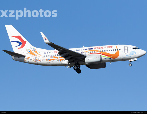 China Eastern Airlines B737-700 B-5802 Peacock