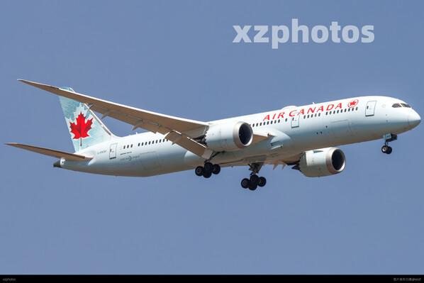 老涂787