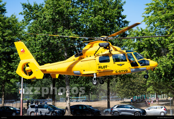 C-GTVD