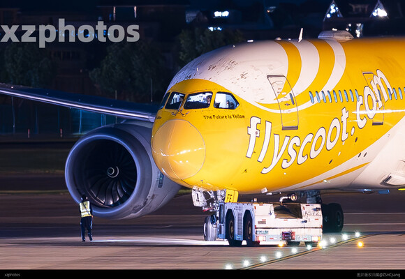 scoot