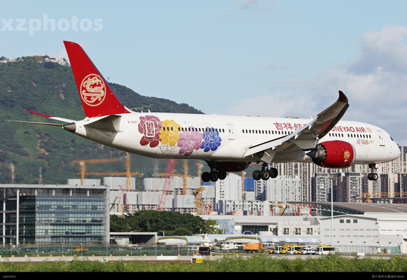梦旅生花
