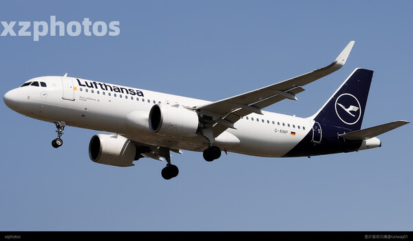 D-AINP