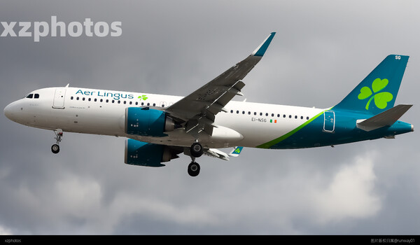 EI-NSG