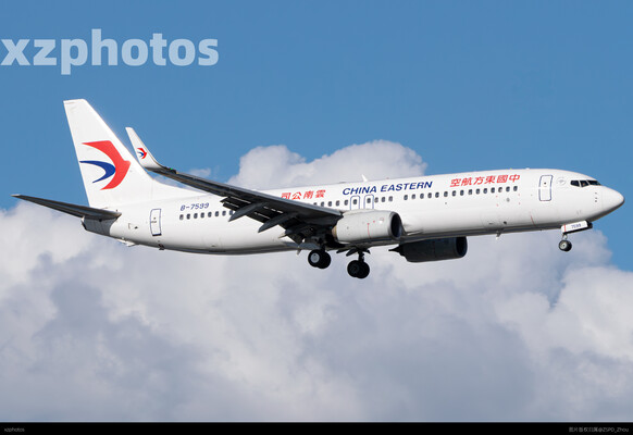东云新涂738