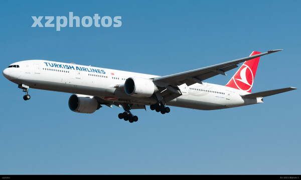 土耳其航空77w