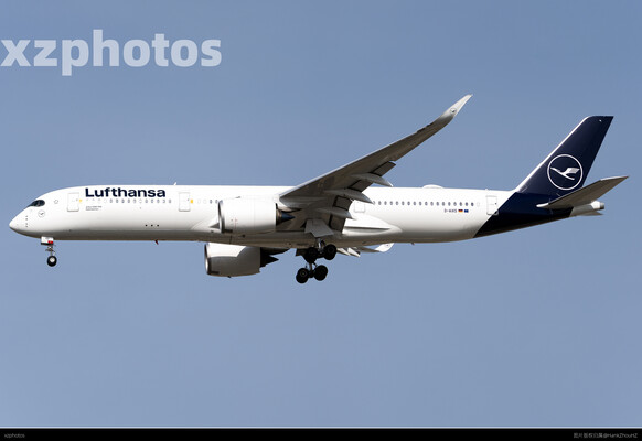 D-AIXS