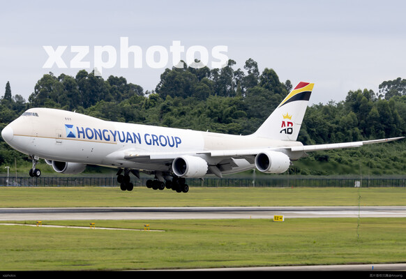 OE-LFD