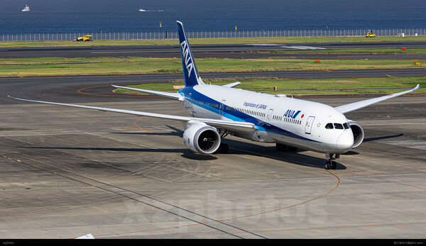 大大全日空