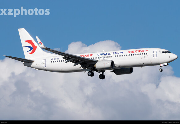 东云新涂738