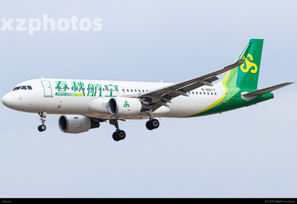 B-8817