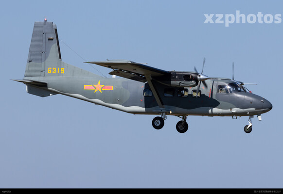 Y-12D