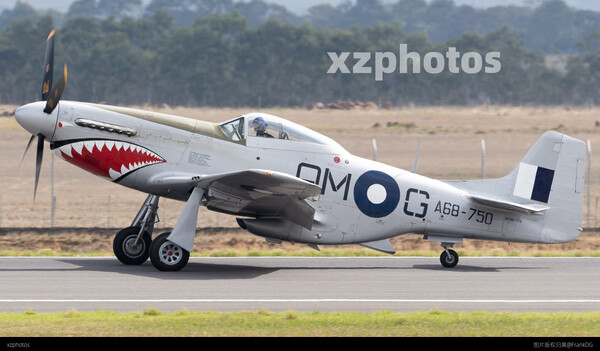 P-51D
