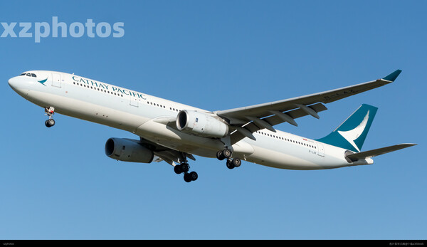 B-LAX