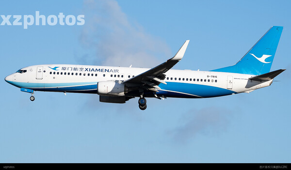 B-7816