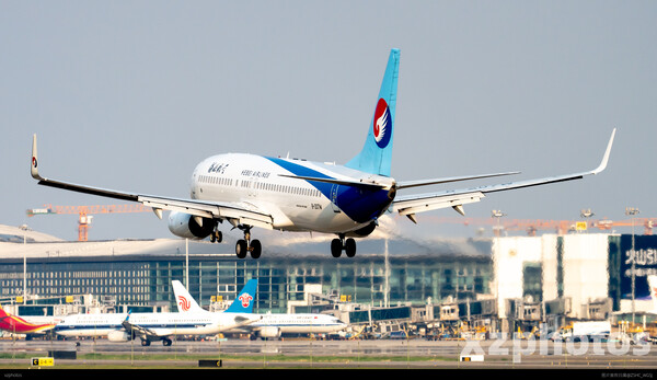 B-207W