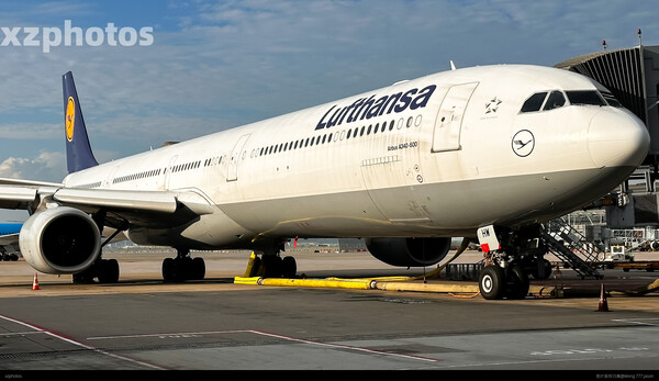 D-AIHW