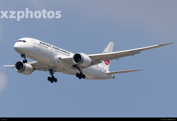 JA839J