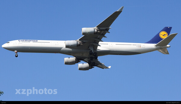 D-AIHW
