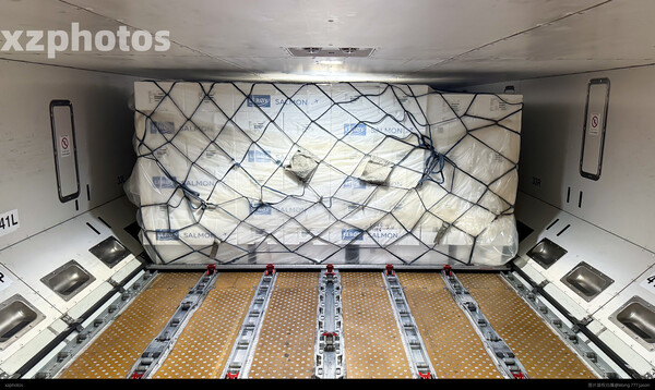 来自芬兰的挪威三文鱼