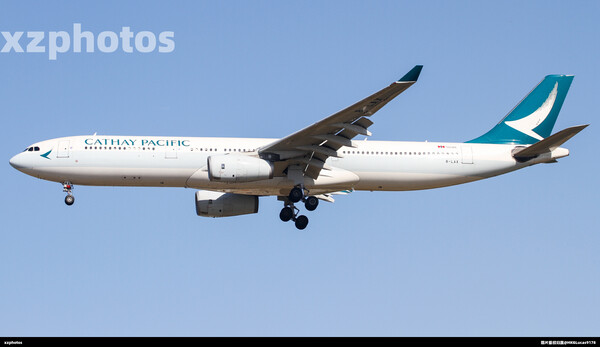 B-LAX