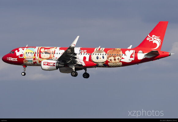 POP LAND Livery