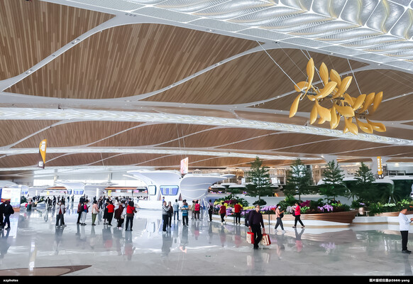 广州白云国际机场T3航站楼