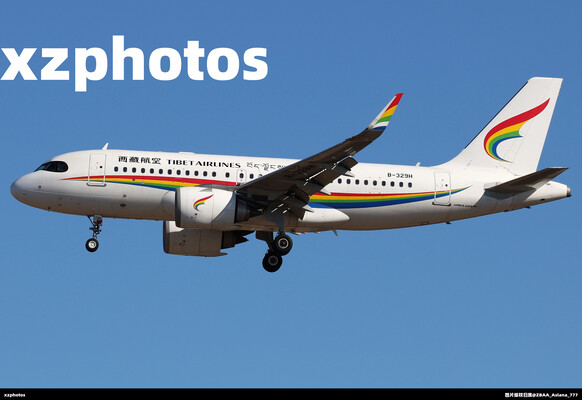 西藏航空19N访京