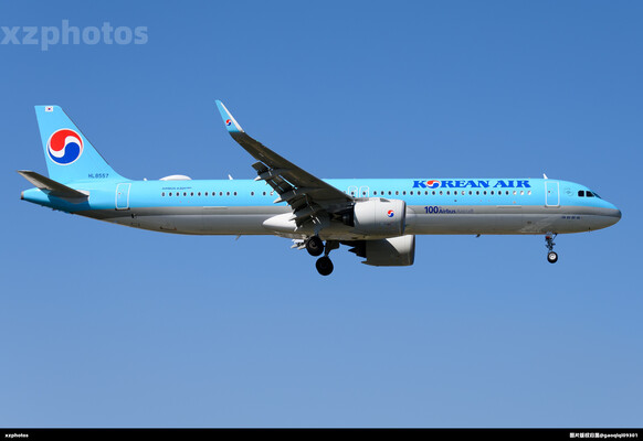 大韩航空第100架空客贴纸