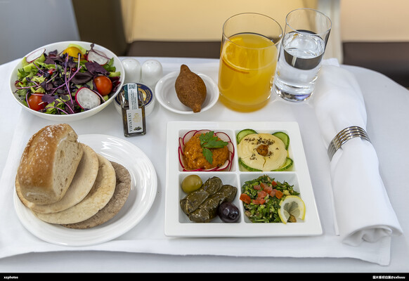 迪拜航展阿联酋航空地面客舱展