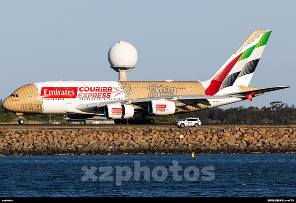 阿联酋快递彩绘