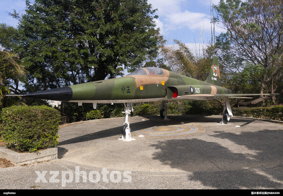 退役的迷彩老虎