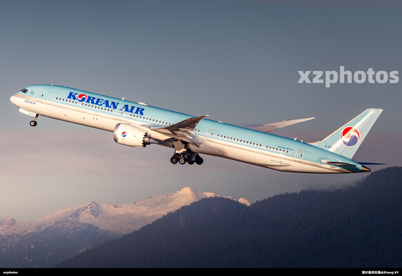 黄金光下大韩航空与雪山一角