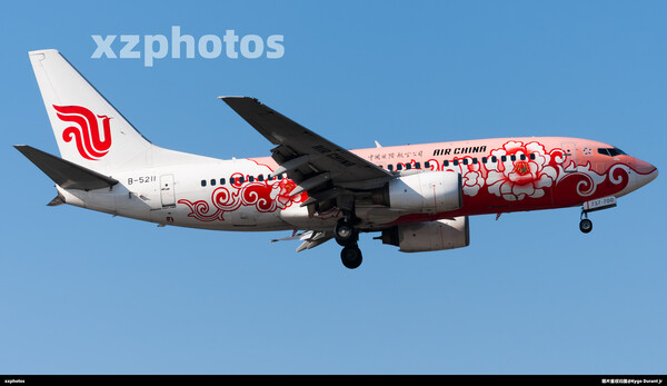 国航天津红牡丹彩绘B-5211于近日恢复普通涂装