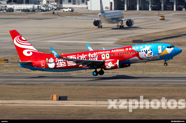 海航蜜雪冰城彩绘
