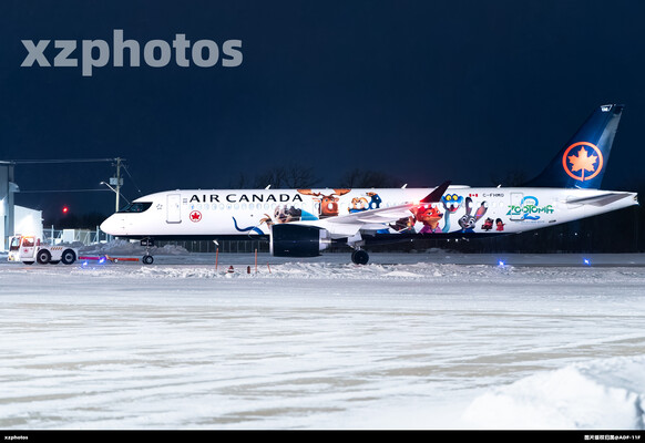 加拿大航空疯狂动物城2彩绘