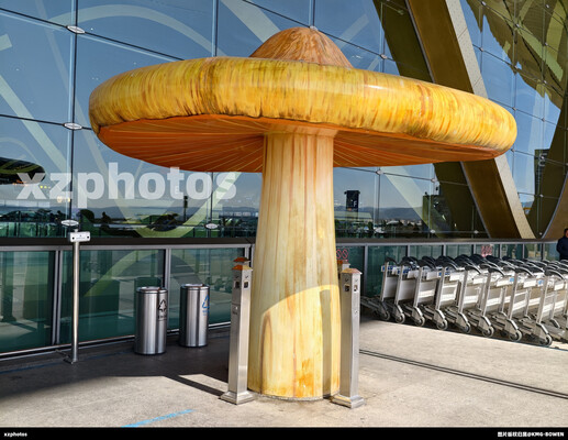 长水机场鸡枞吸烟区