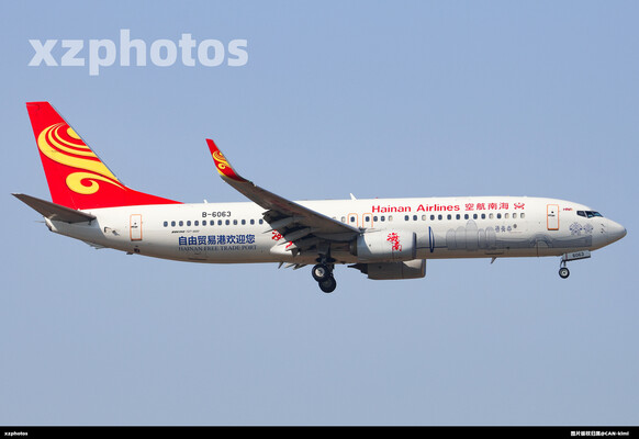 “自由贸易港欢迎您”