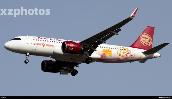 富平柿饼🏮甜蜜中国