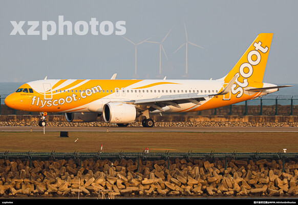 金光新加坡酷航