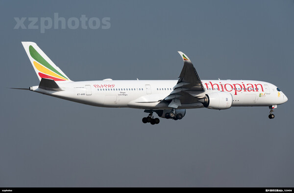 埃塞八十周年小贴纸