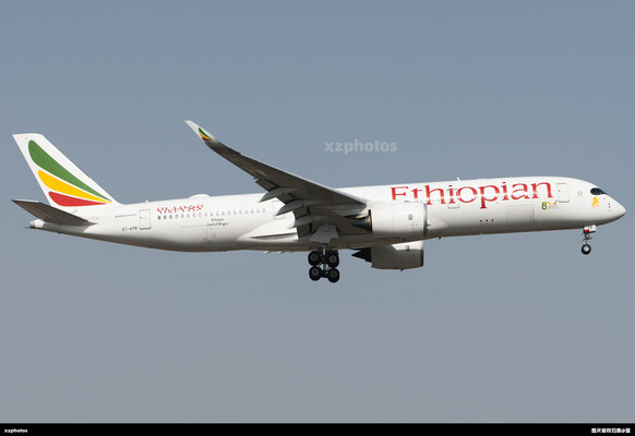 埃塞80周年贴纸