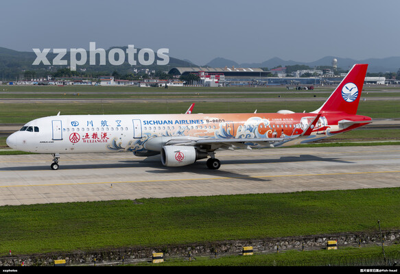 川航五粮液彩绘滑行～