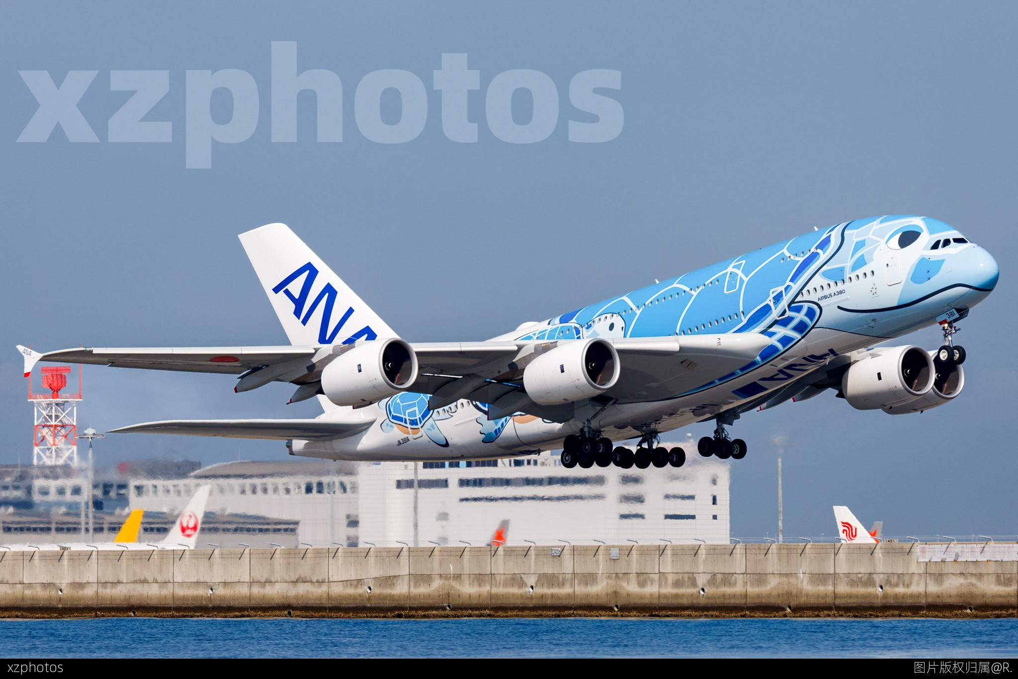 全日空大海龟
