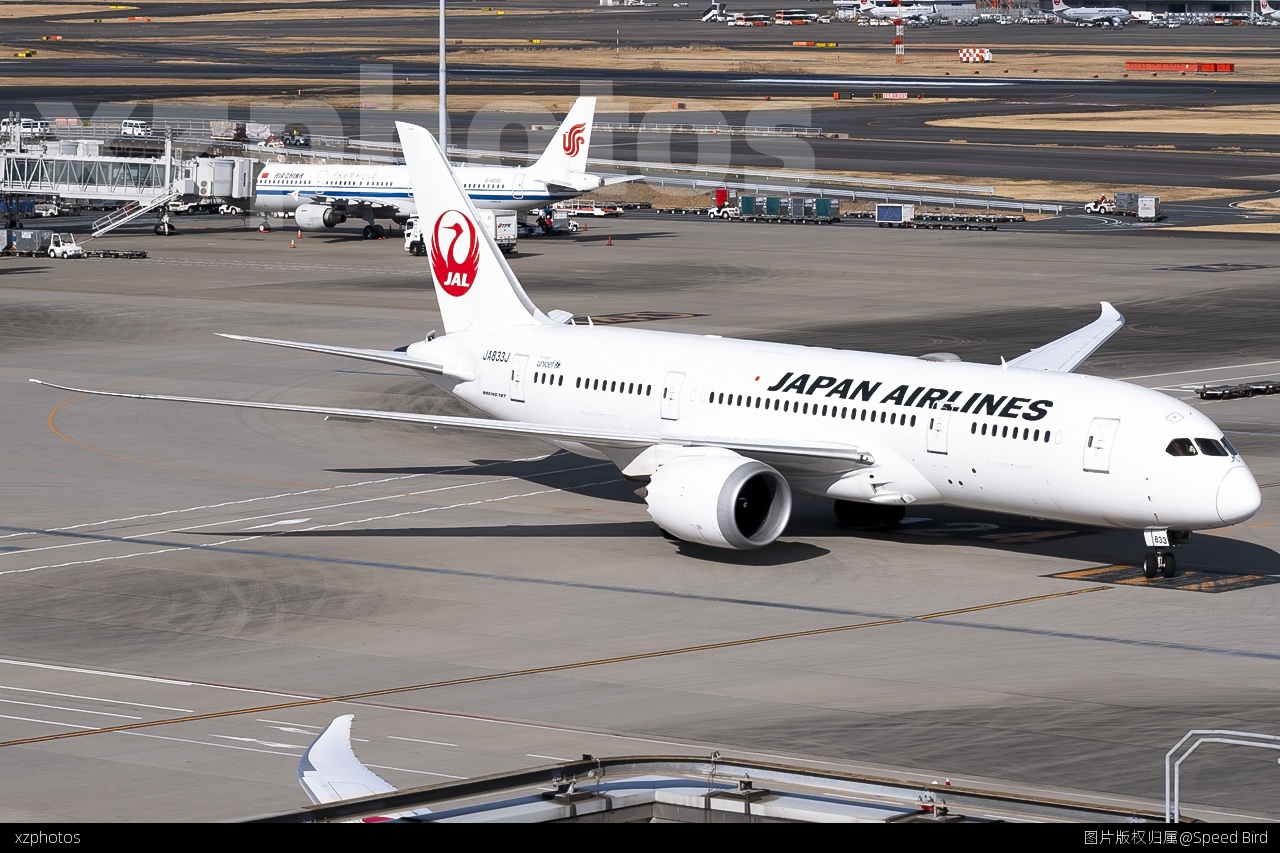 ”Dreamliner“