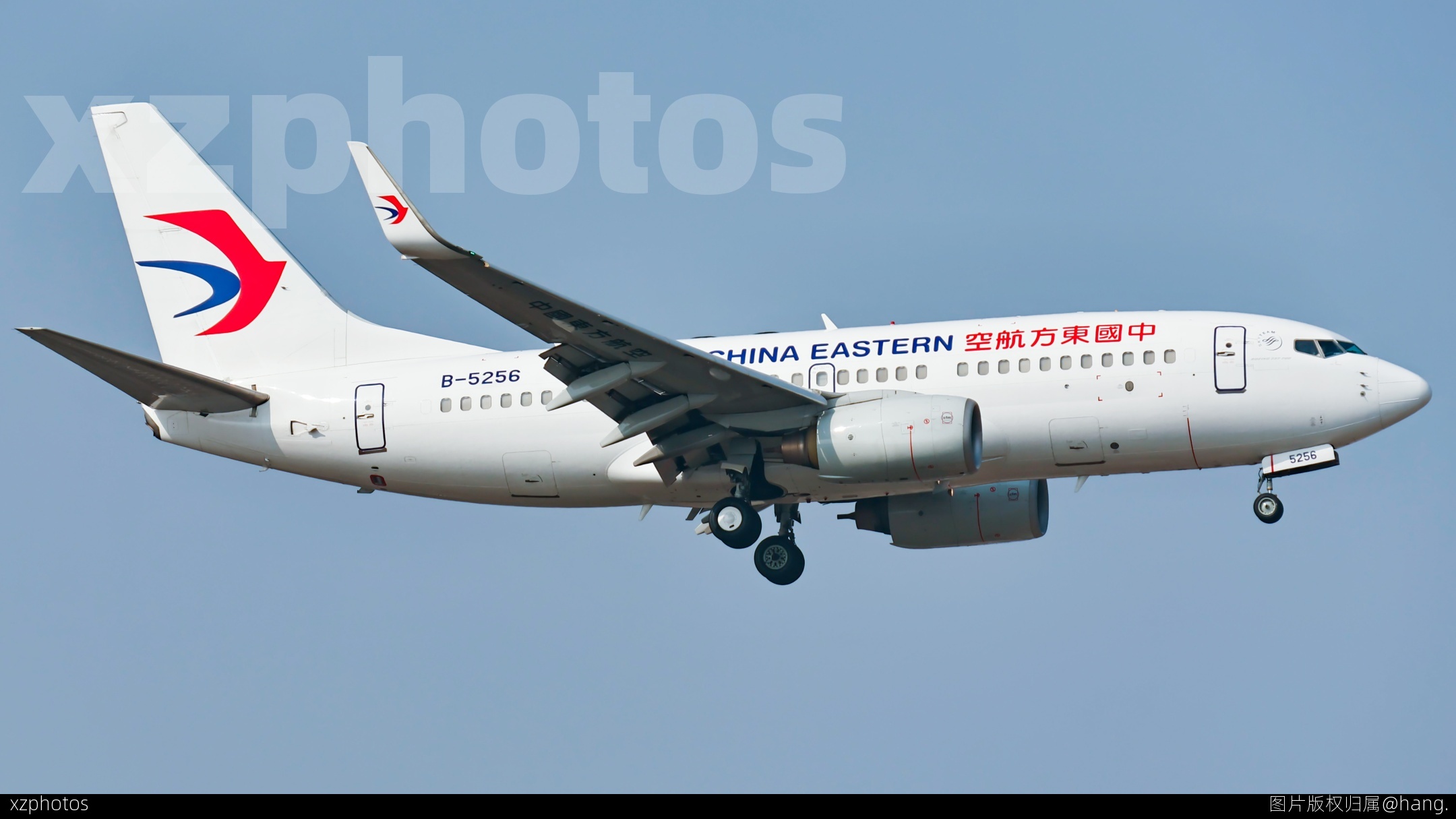 737
