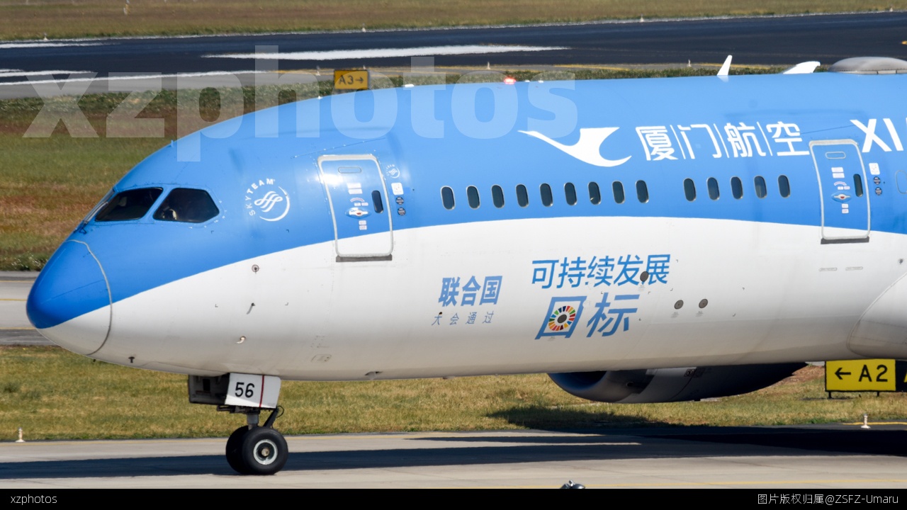 1356大头