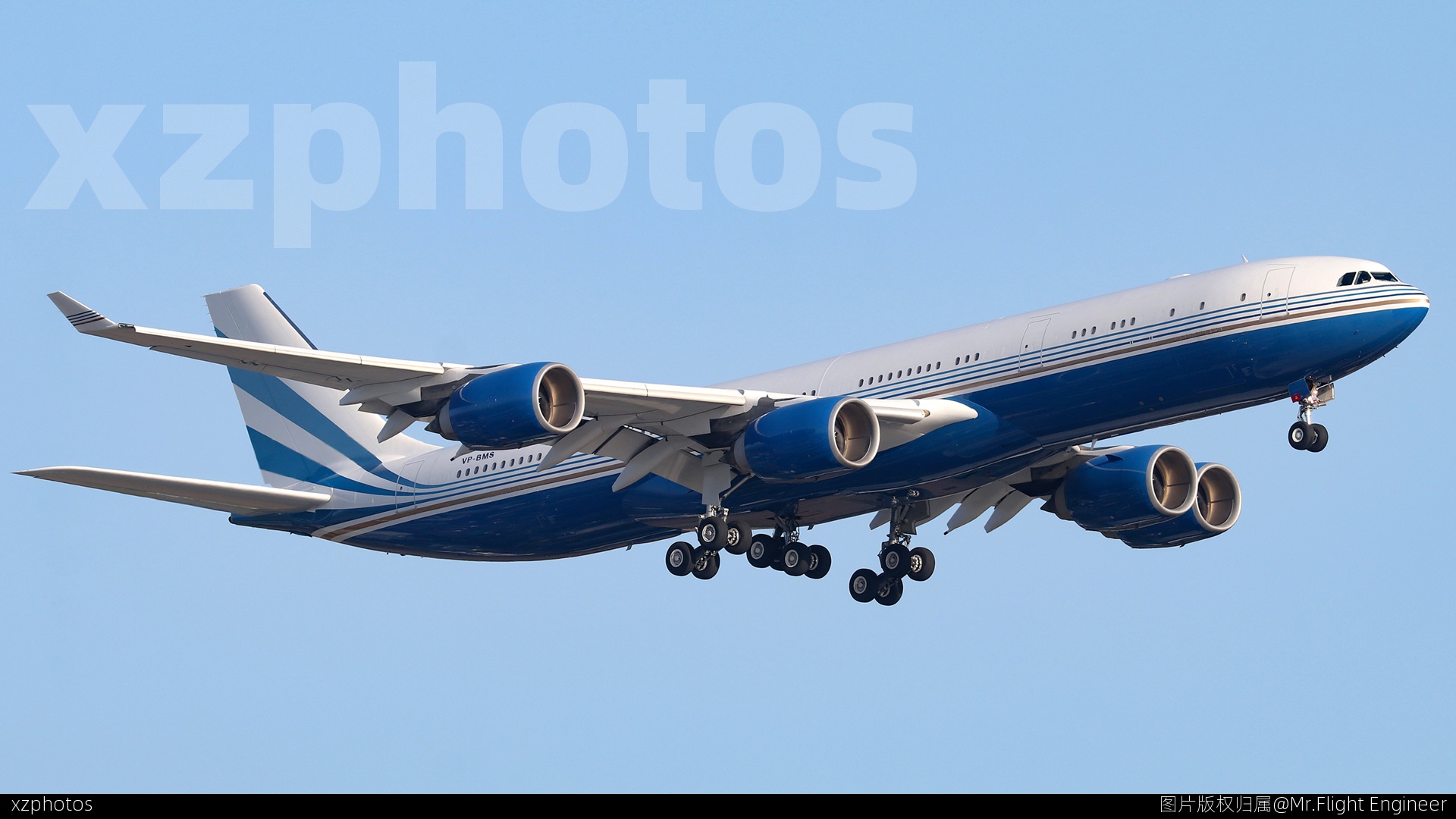 VP-BMS
