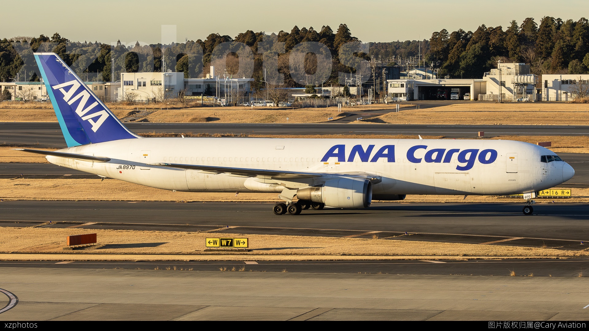 ANA Cargo