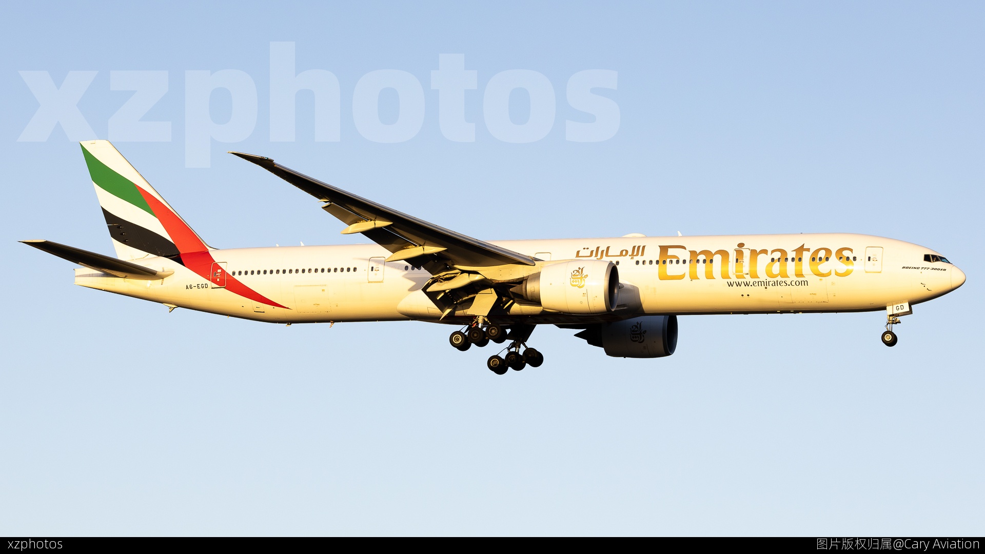 A6-EGD